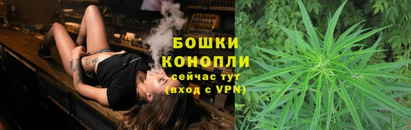 спиды Ладушкин