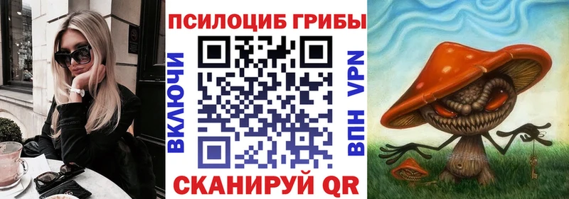 Галлюциногенные грибы Psilocybe  Людиново 